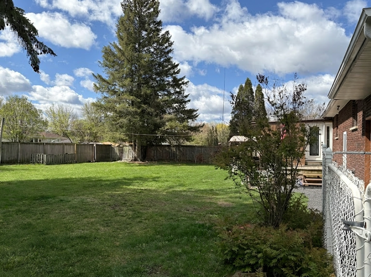 Backyard